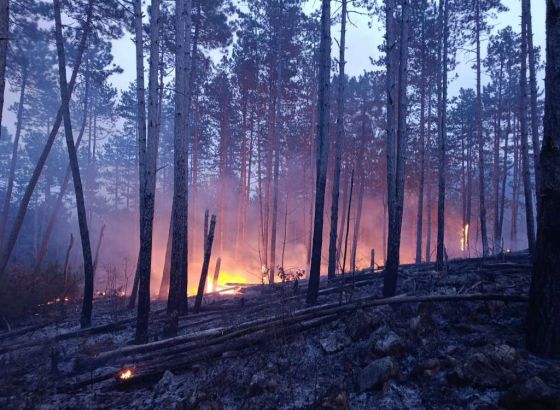 I dalje aktivan požar u mjestu Ljuti Dolac, vatra prijetila kućama