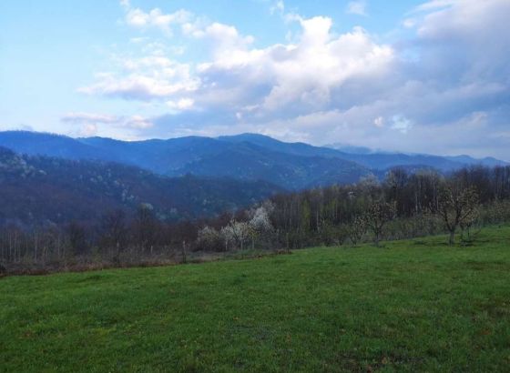 Korak naprijed ka obnovi šumskih predjela na zapadnom Balkanu