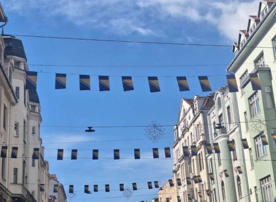 Gradovi i općine iz cijele BiH pokreću jedinstven Servis za dijasporu