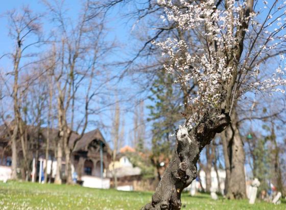 U BiH sutra sunčano vrijeme uz umjeren porast naoblake u Bosni tokom dana