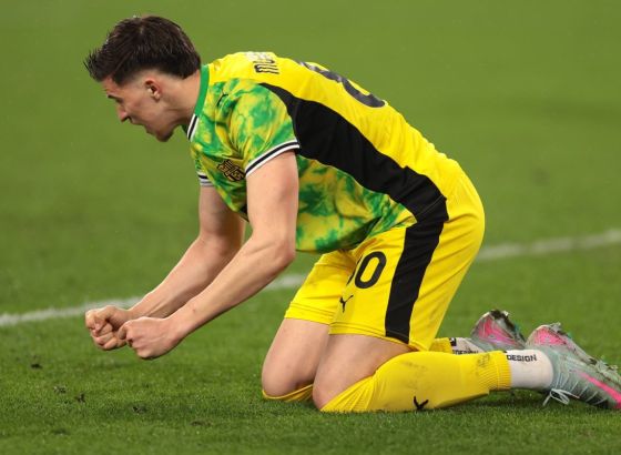 Tottenham zainteresovan za reprezentativca BiH