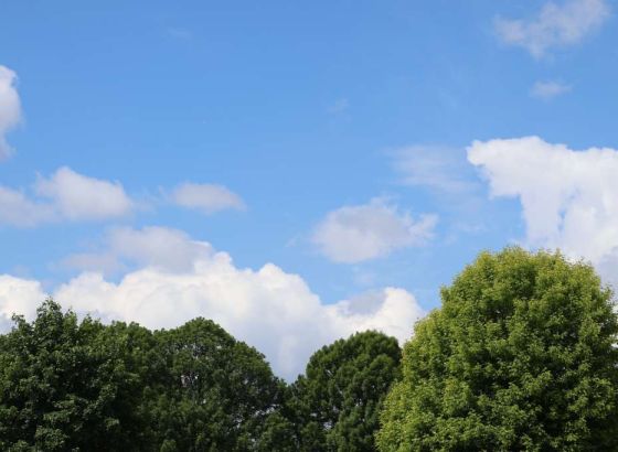 U BiH jutros umjereno do pretežno oblačno, dnevna temperatura na jugu do 26 stepeni