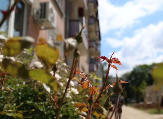 Narednih dana pretežno sunčano, temperatura do 25 stepeni na jugu zemlje