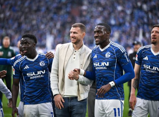 U Schalkeu očekuju da se Edin Džeko na teren vrati početkom narednog mjeseca