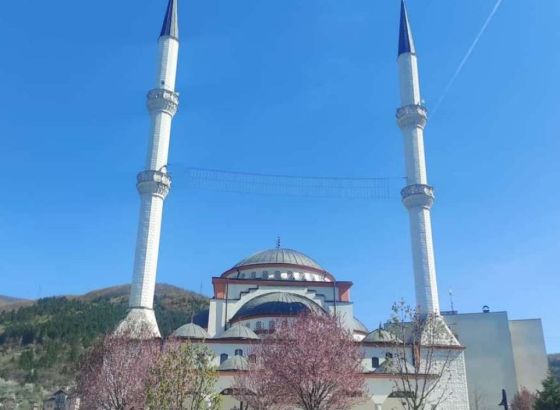 Dan džamija u BiH - Centralna svečanost Muftijstva goraždanskog 16. maja u Rogatici