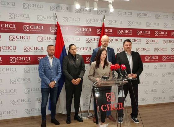 SNSD traži ukidanje Schmidtovih odluka i člana 203a Krivičnog zakona BiH