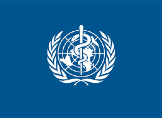 WHO: Nema znakova veće epidemije hantavirusa