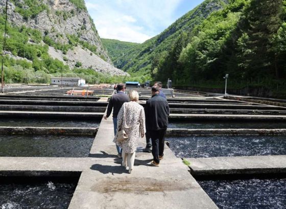 Sedić obišao ribnjake u Klokotu i Martin Brodu: Domaća proizvodnja i izvoz jačaju ekonomiju Bihaća