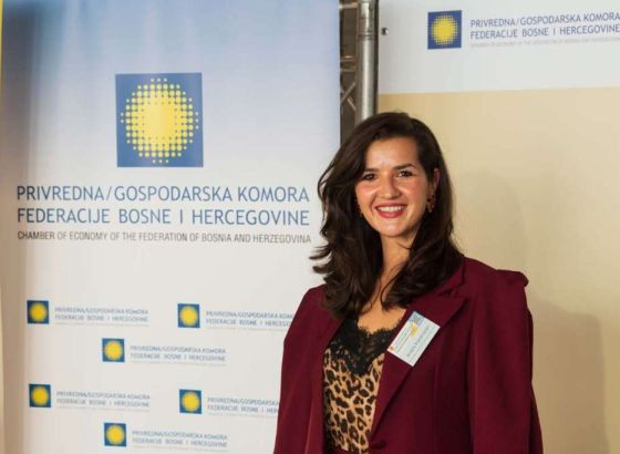 Karahasan: Tržište električnih vozila u BiH raste, ali presudne su cijene i infrastruktura