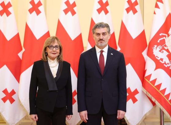 Čolaković predala akreditivna pisma predsjedniku Gruzije