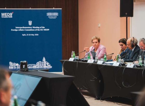 Sastanak MED 9 - Naglašena važnost aktivne uloge BiH u europskoj perspektivi regije