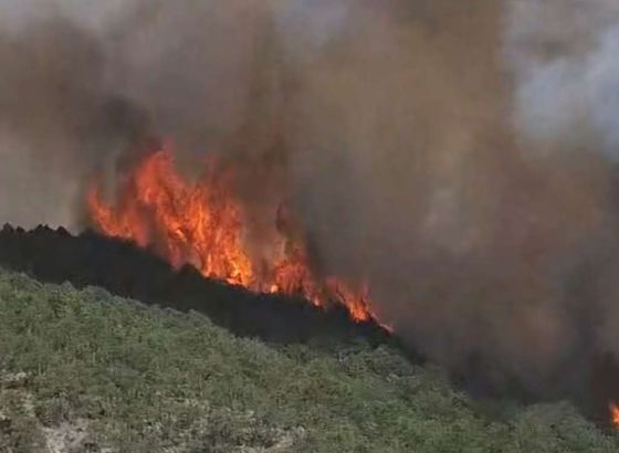 Požar u rejonu Pisvira kod Jablanice i dalje aktivan