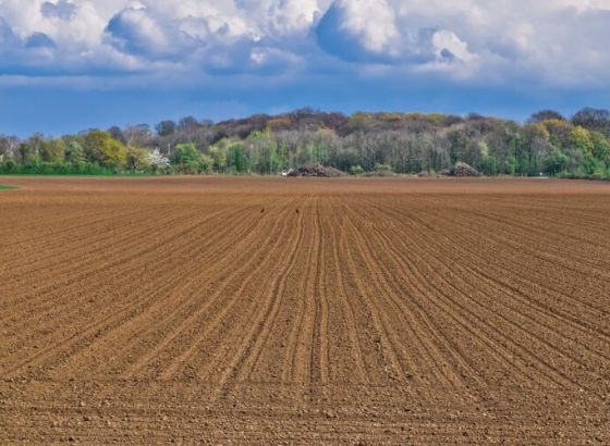 U TK ostvareno 94,7 posto plana proljetne sjetve, smanjene sjetvene površine