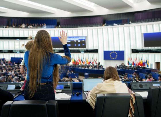 Evropski zastupnici ponavljaju podršku putu Bosne i Hercegovine ka EU i pozivaju na brže reforme