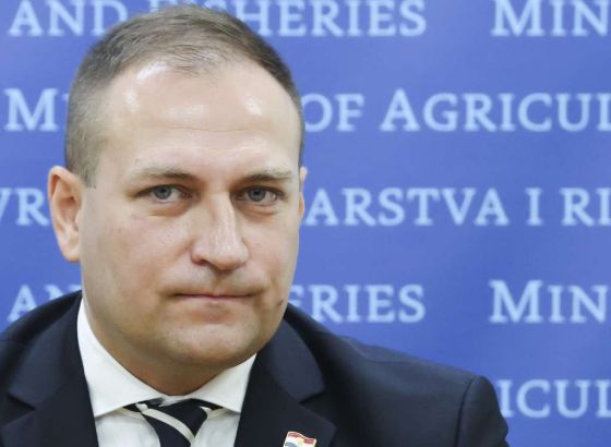 Vlajčić: Nema razloga za dramatiziranje oko prijedloga DP-ove deklaracije o BiH