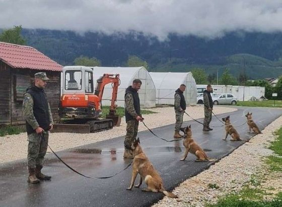 Norveška NPA donirala nove deminerske pse za MO BiH
