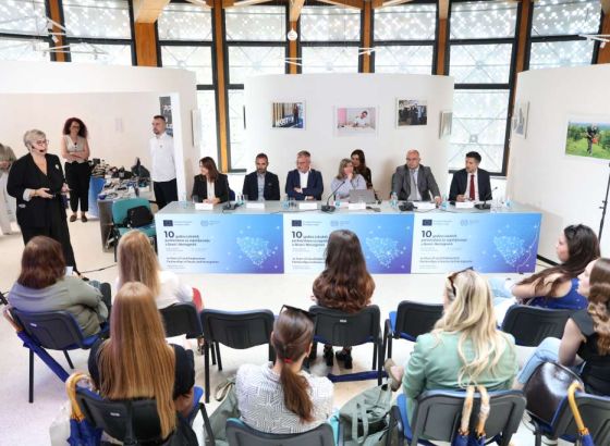 Decenija EU podrške zapošljavanju u BiH - Uspjesi lokalnih partnerstava