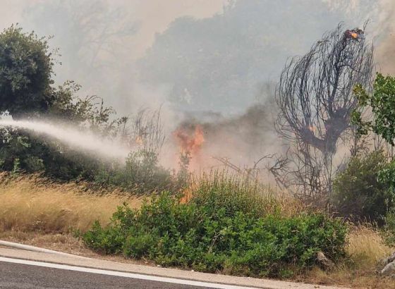 Lokaliziran požar u Konavlima, u Crnoj Gori i dalje aktivan