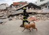EU dostavlja hitnu pomoć i organizuje humanitarni let kao odgovor na zemljotrese u Venecueli