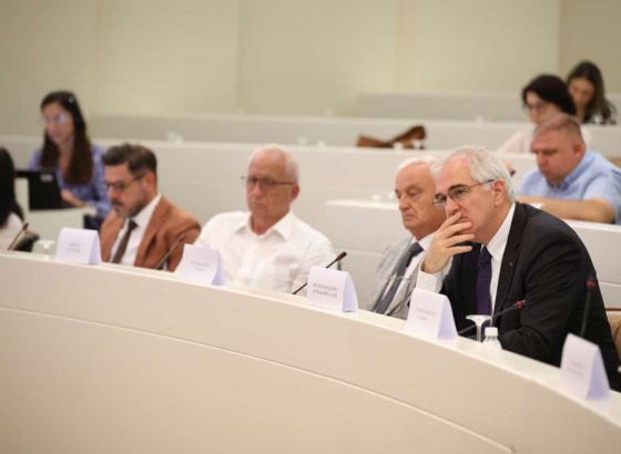 Fafulić: Ustav BiH je predvidio kategoriju 'ostali', ali je ona zloupotrijebljena