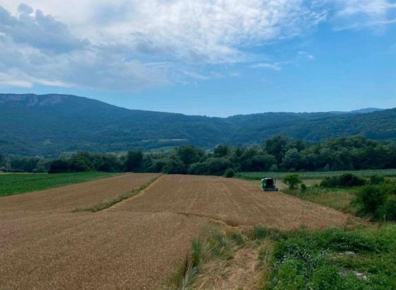 Žetva ječma u Ključu donosi dobre prinose, poljoprivrednici zadovoljni rezultatima