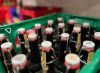 Ekstremne vrućine u Evropi mijenjaju navike potrošača alkohola
