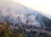 Na Rujištu gori šuma i trava, vatrogascima pomažu volonteri
