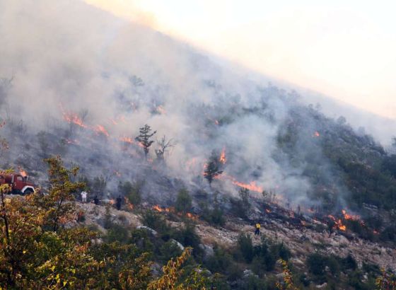 Na Rujištu gori šuma i trava, vatrogascima pomažu volonteri