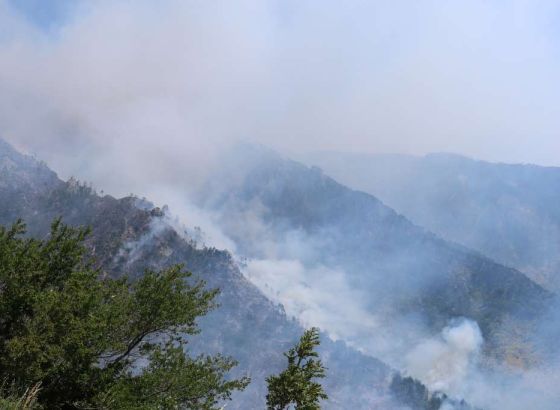 Požar u kanjonu Rakitnice kod Konjica dobrim dijelom lokaliziran