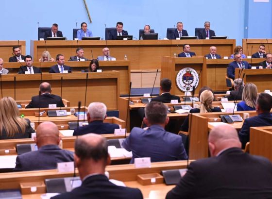 Vučinić u NSRS upozorio da su predložene sporne dopune Krivičnog zakonika već obuhvaćene zakonom