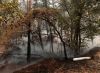 Više od 1.900 hektara šume Fontainebleau u blizini Pariza uništeno u požarima