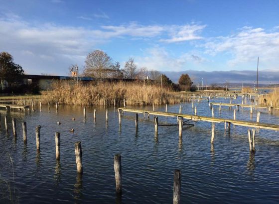 Klimatske promjene i loše upravljanje isušuju mađarsko jezero Velence