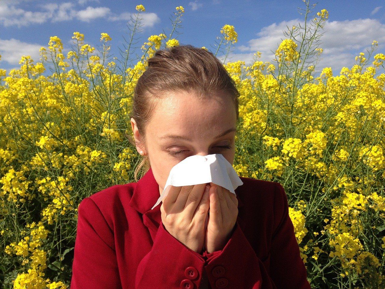 alergija-polen-kihanje-pixabay.jpg