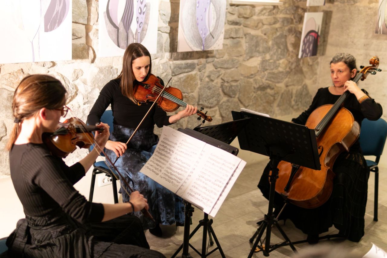 sinfonietta-51.jpg