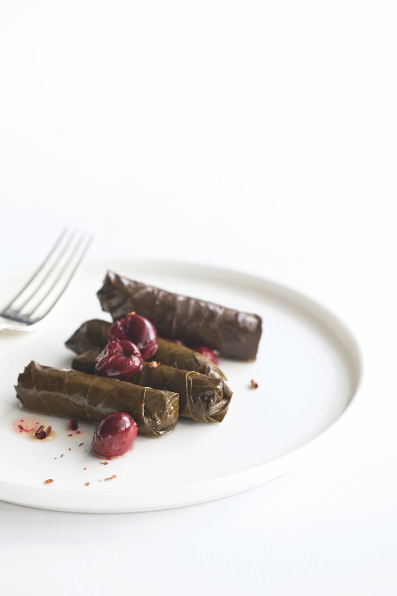 dolma-tga-pg.jpg