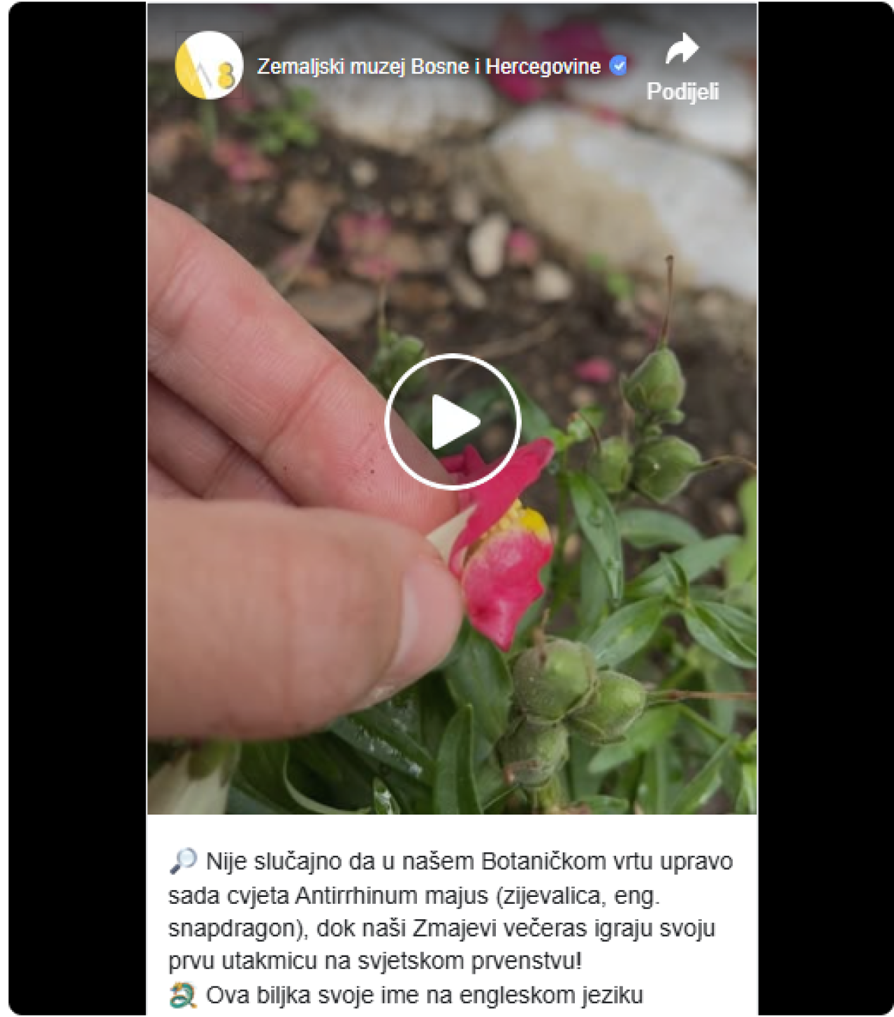 screenshot-2026-06-14-115311.png