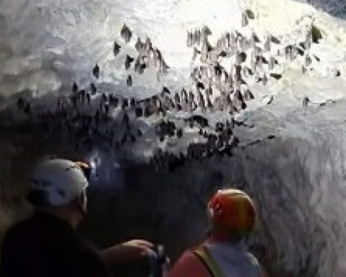 Jasminko Mulaomerović (VIDEO):Posljedice neadekvatne brige o kršu mogu biti katastrofalne