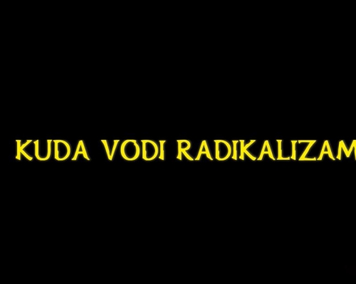 Kuda vodi radikalizam: Šta zaključuju Alispahić, Omeragić, Avdić, Falatar i Imamović