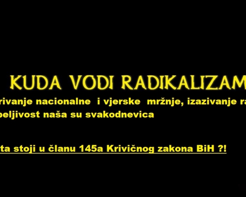 Kuda vodi radikalizam: Šta definira član 145a. Krivičnog zakona BiH ?