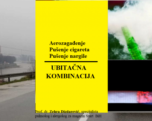 U zdravom okolišu zdrav život/Ubitačna kombinacija: aerozagađenje, pušenje cigareta i nargile